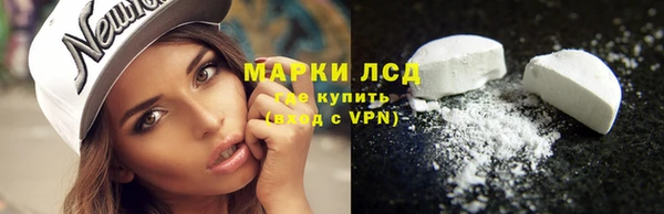 прущий лед Гусев