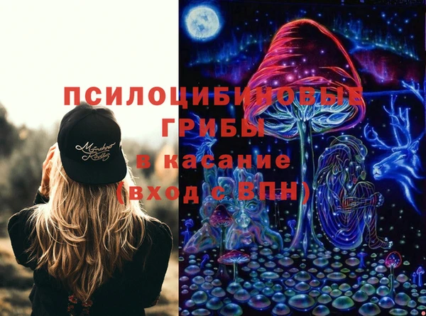 прущий лед Гусев