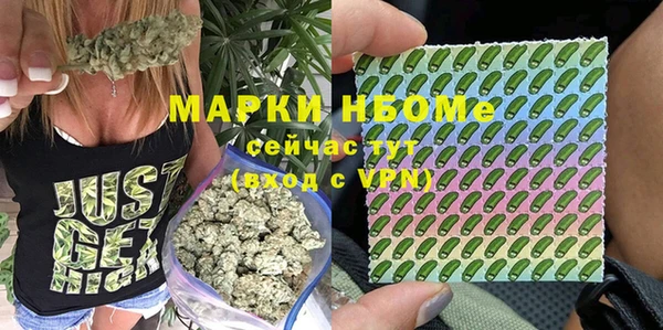 mdpv Горно-Алтайск