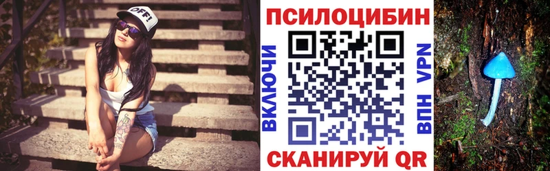 дарнет шоп  Тихвин  Галлюциногенные грибы Magic Shrooms 